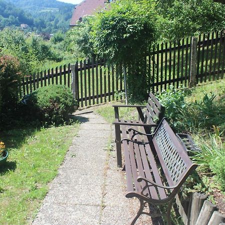 Privat Zelezny Brod Apartment Екстериор снимка