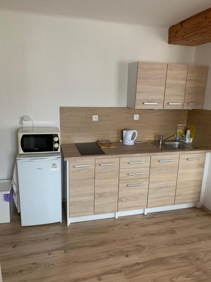 Privat Zelezny Brod Apartment Екстериор снимка