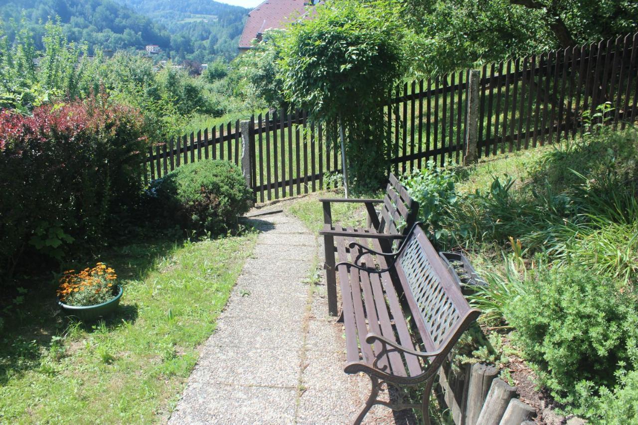 Privat Zelezny Brod Apartment Екстериор снимка