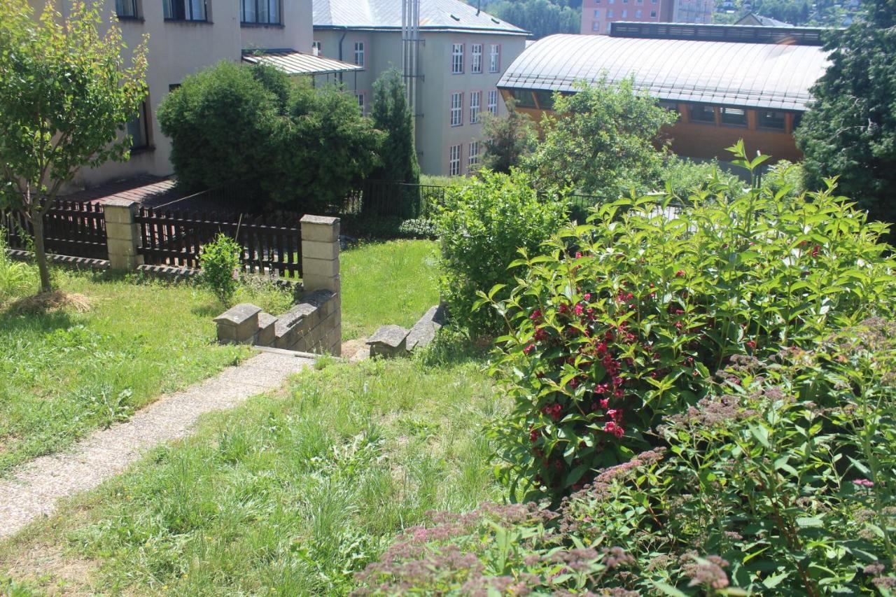 Privat Zelezny Brod Apartment Екстериор снимка